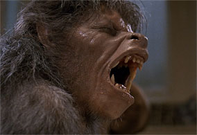 American Werewolf In London (1981)