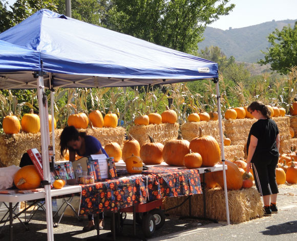 Calabasas Pumpkin Festival