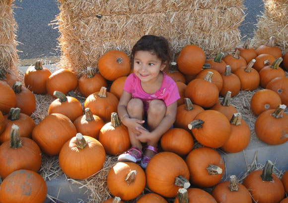 Calabasas Pumpkin Festival